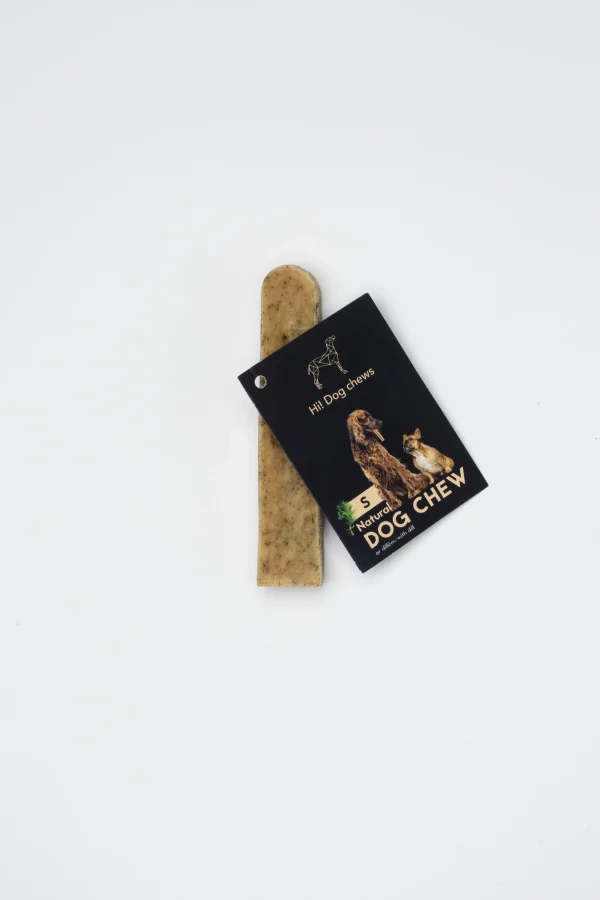 20250816SUNIORIGINALS 518