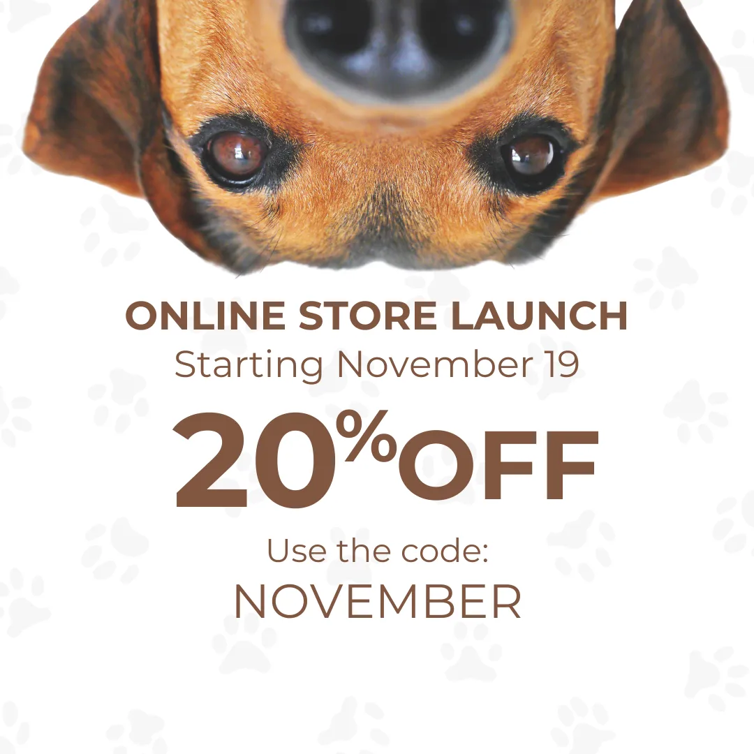 E-shop opening – offer