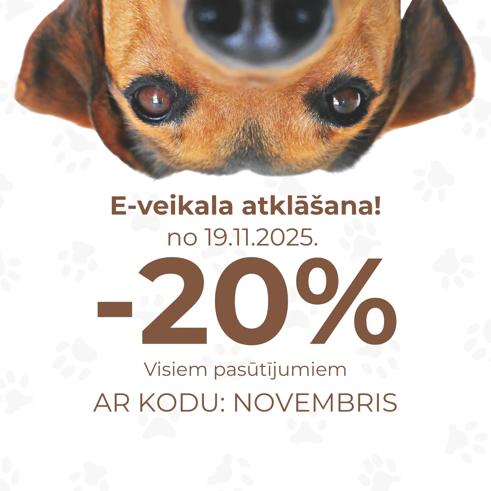 E-shop opening – offer