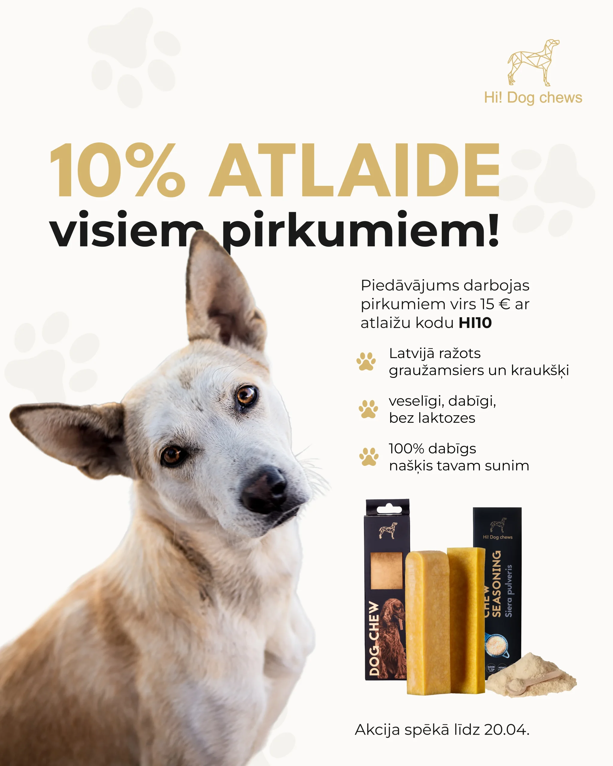 Handmade dog treats promotion